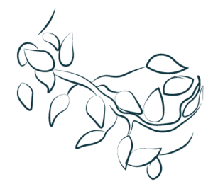 illustration_floral-2